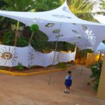 IMG 20181124 110237 884 Beautent Cheese Tent Artificial Grass Sales