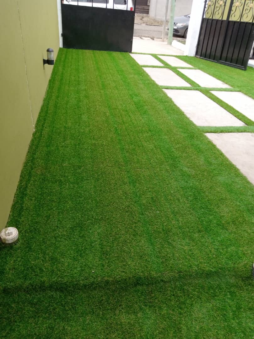 Landscaping Carpet Grass