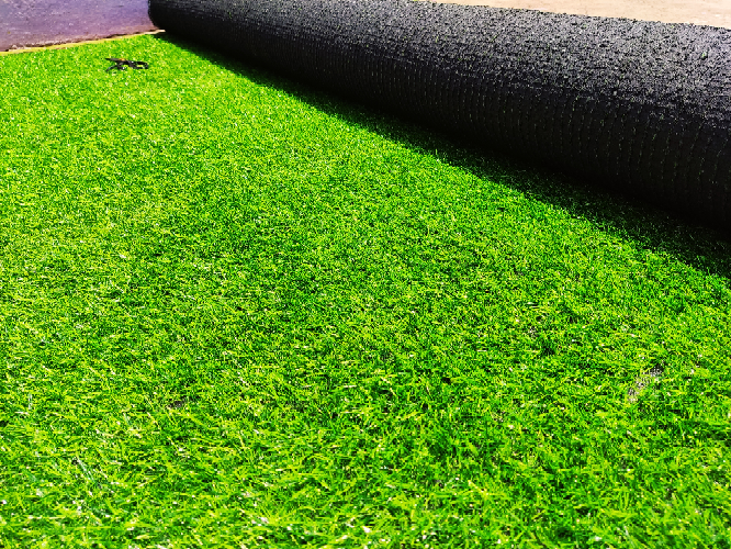 IMG_20210520_121151-scale-1